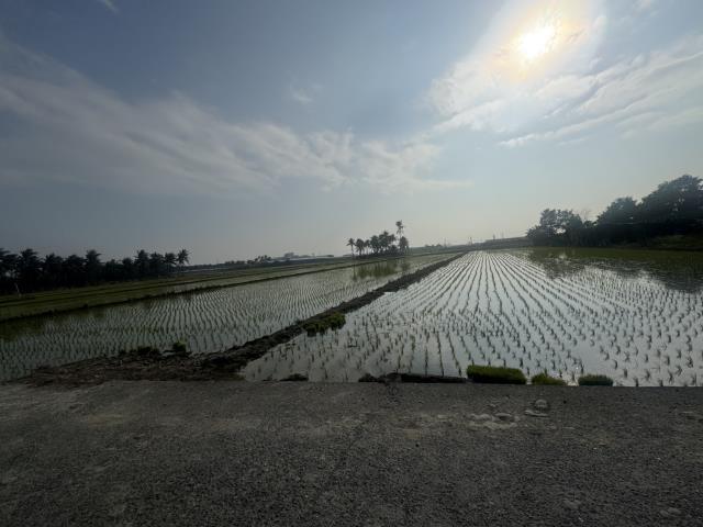 高雄路竹農地-14