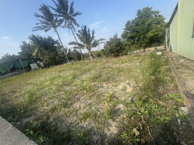 高雄路竹農地-1