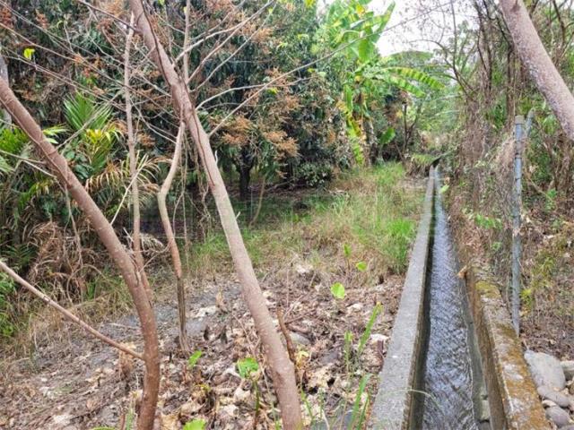 高雄六龜農地-5