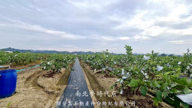 高雄燕巢農地-9