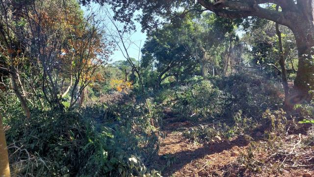 新竹新埔農地-8