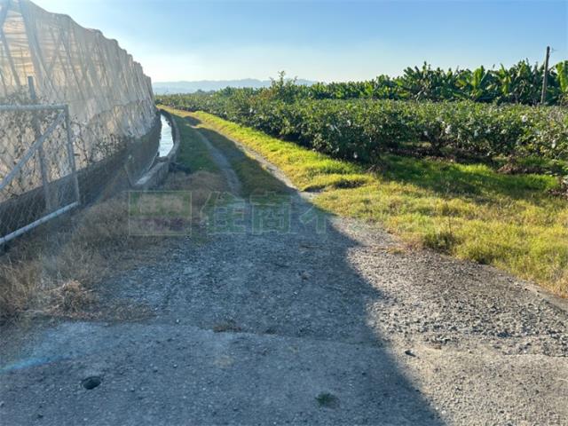 高雄美濃農地-4