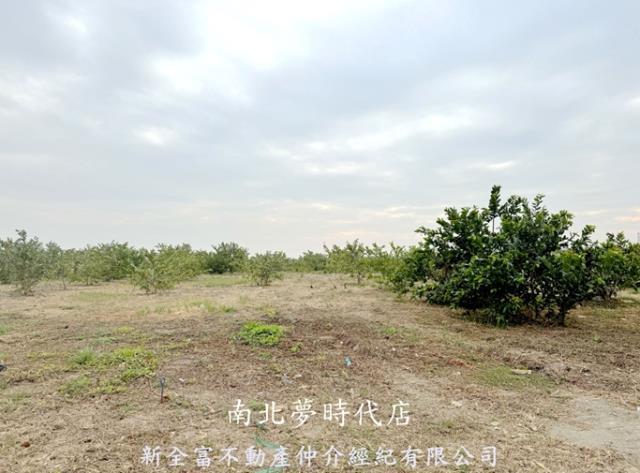 高雄湖內農地-1