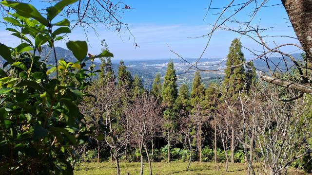 新竹橫山農地-6