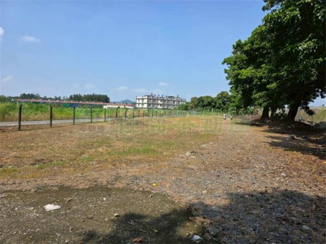 屏東高樹農地-15