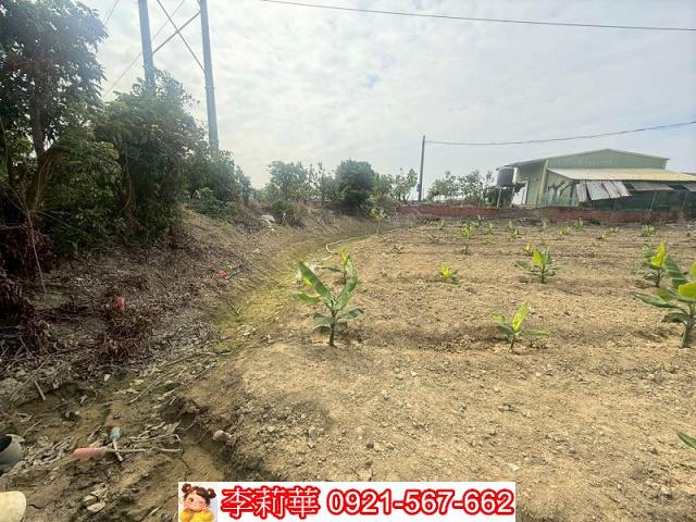 高雄路竹農地-12