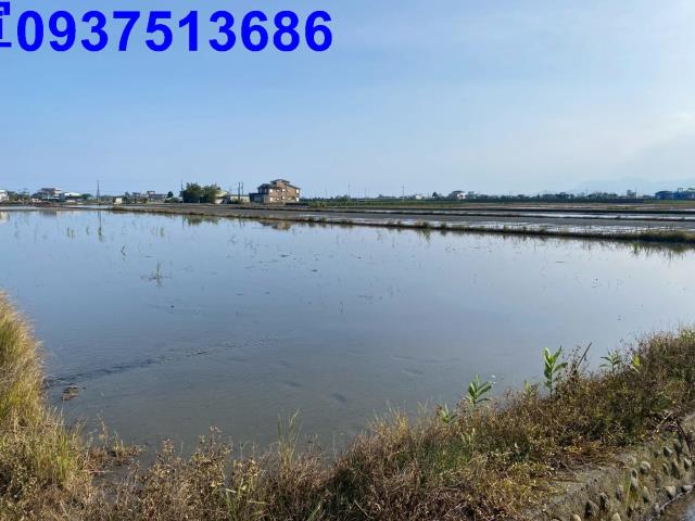 宜蘭壯圍農地-4