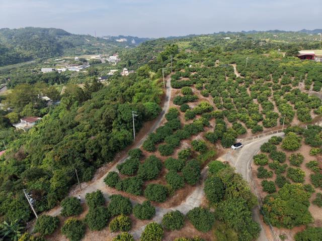 高雄大樹農地-6