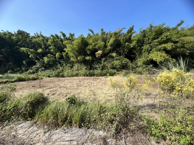 台南左鎮農地-2