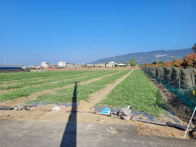 高雄農地-5