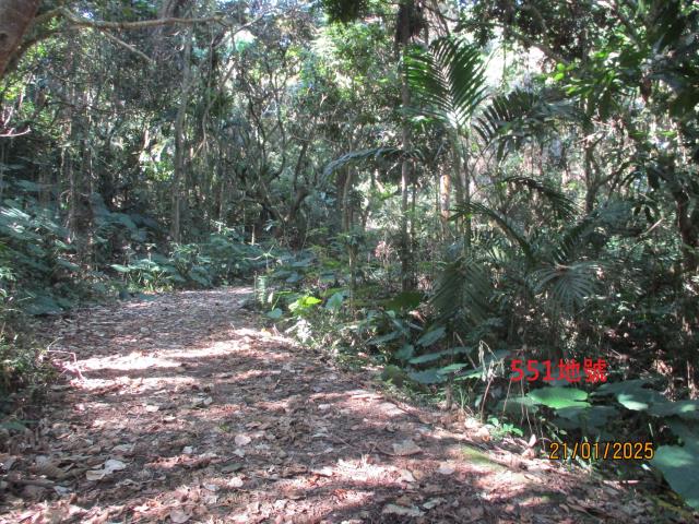 霧峰法拍農地-03