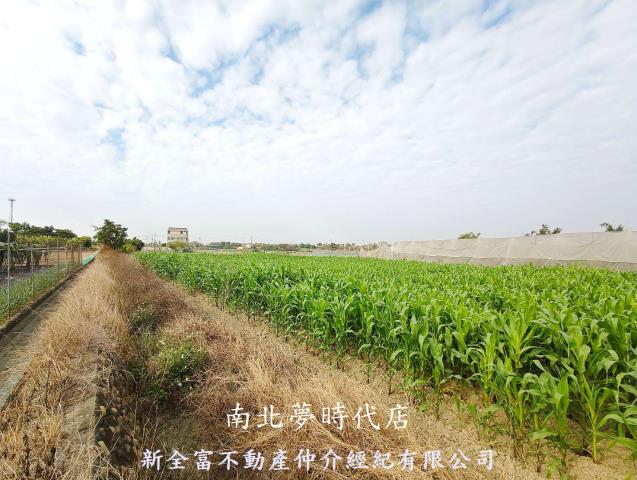 台南柳營農地-4