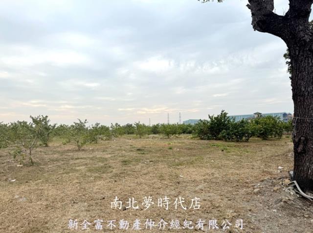 高雄湖內農地-2