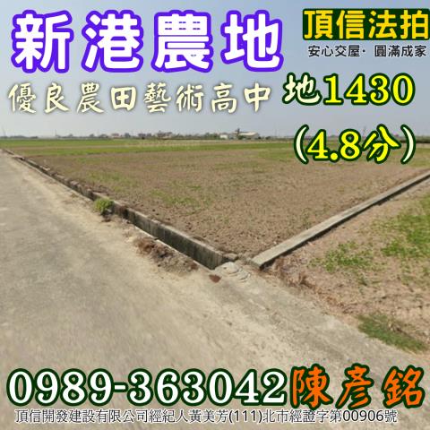 新港法拍農地-1