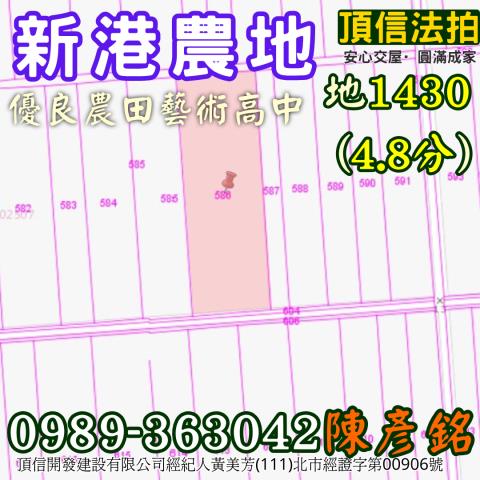 新港法拍農地-4