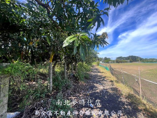 新化農地-7