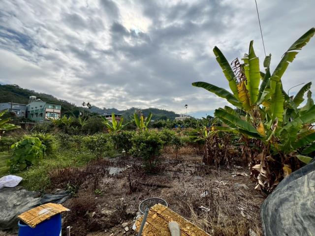 南投名間農地-5