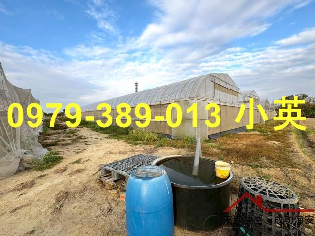 高雄路竹農地-5