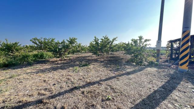 高雄湖內農地-5