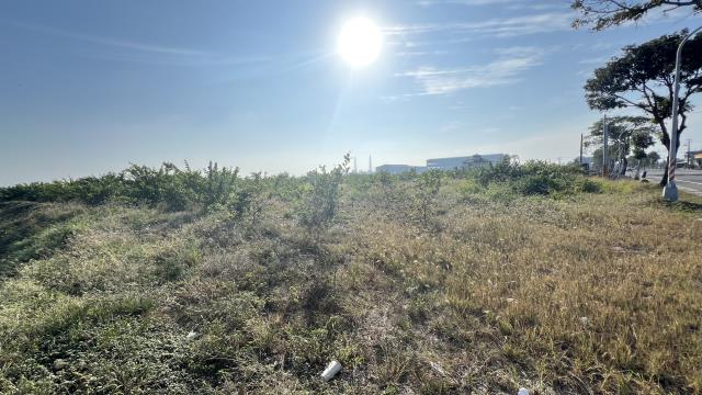 高雄湖內農地-4