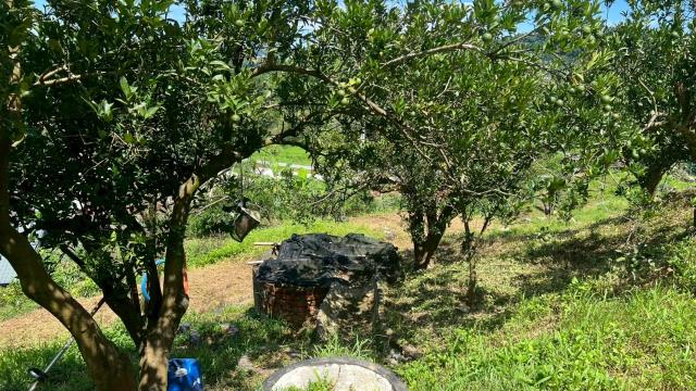 新竹峨眉農地-9