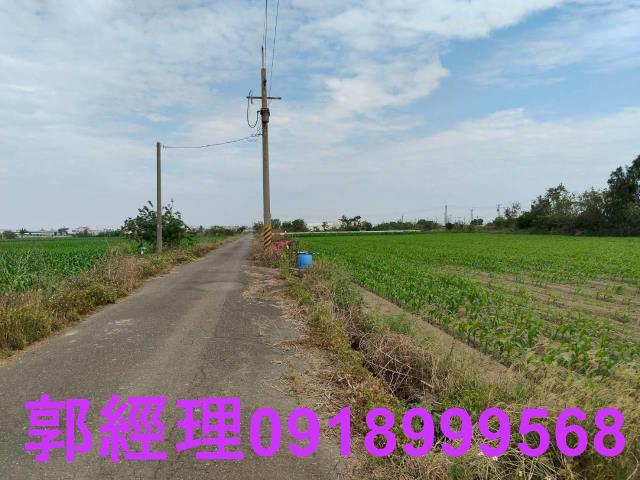 台南農地-6