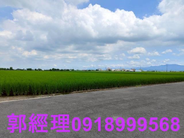 台南農地-7