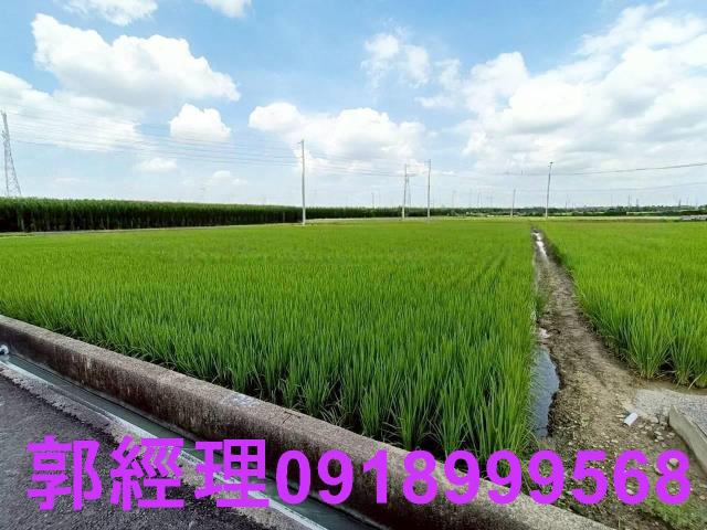 台南農地-2
