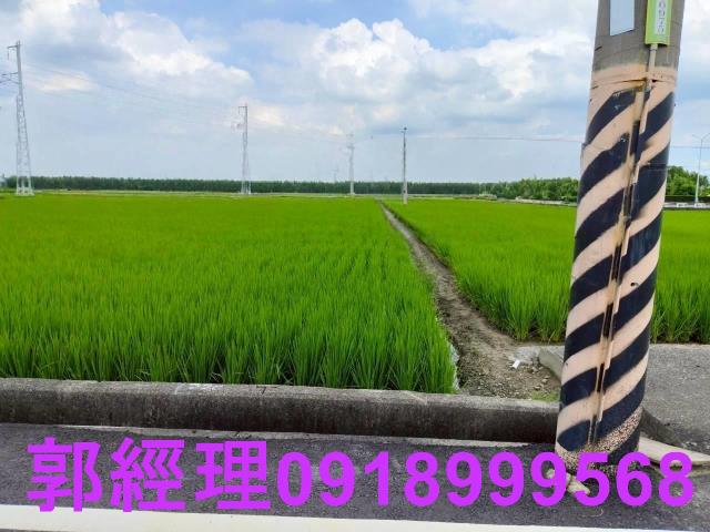 台南農地-8