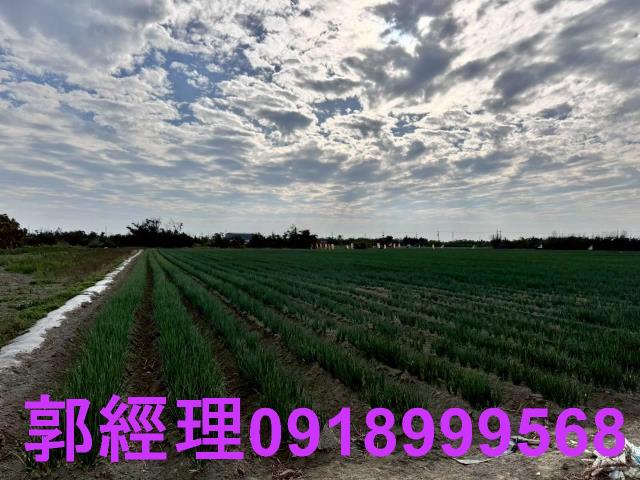 台南農地-4