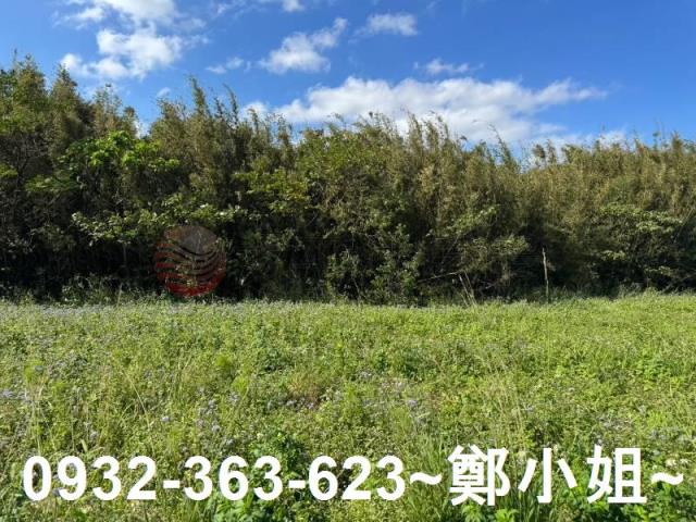 桃園大園農地-10