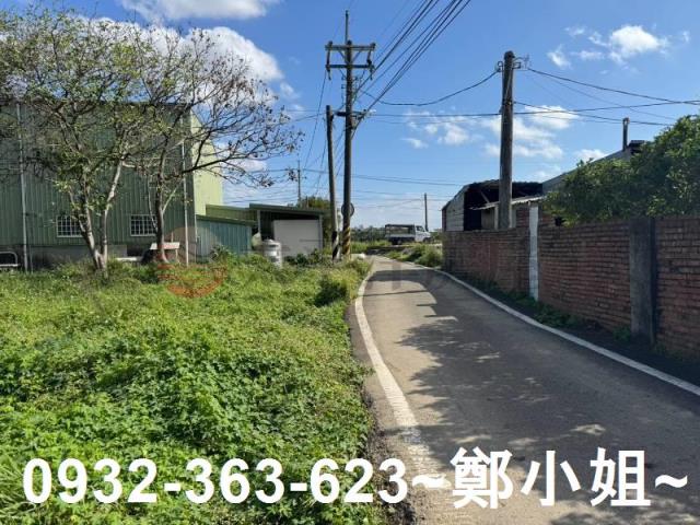 桃園大園農地-1