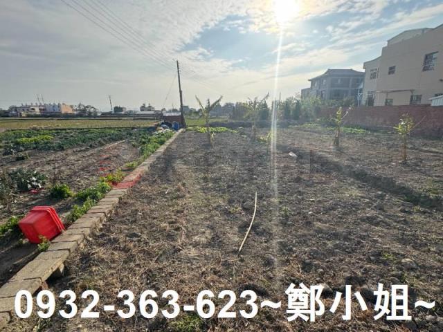 苗栗苑裡農地-10