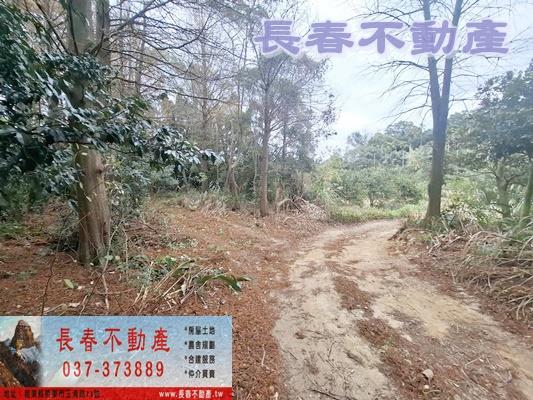 苗栗頭屋農地-9