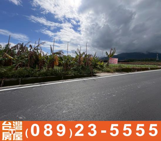 台東鹿野農地-6