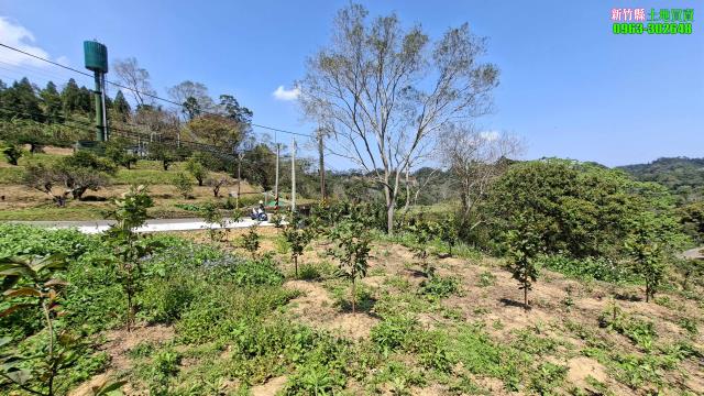 北埔農地-4