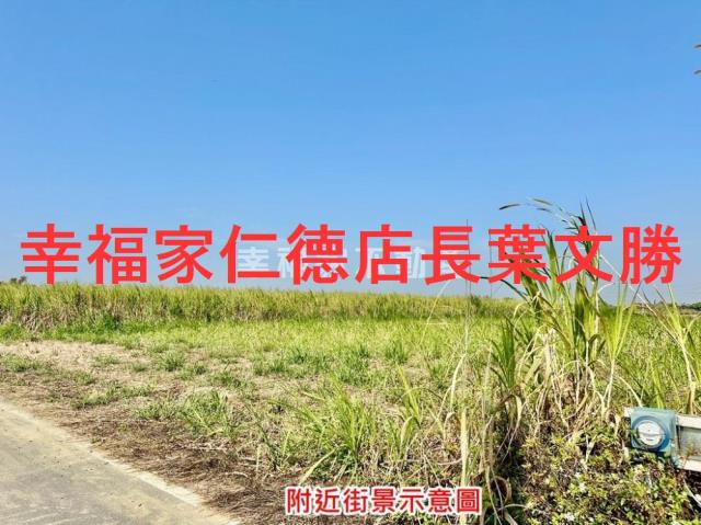 台南善化農地-10