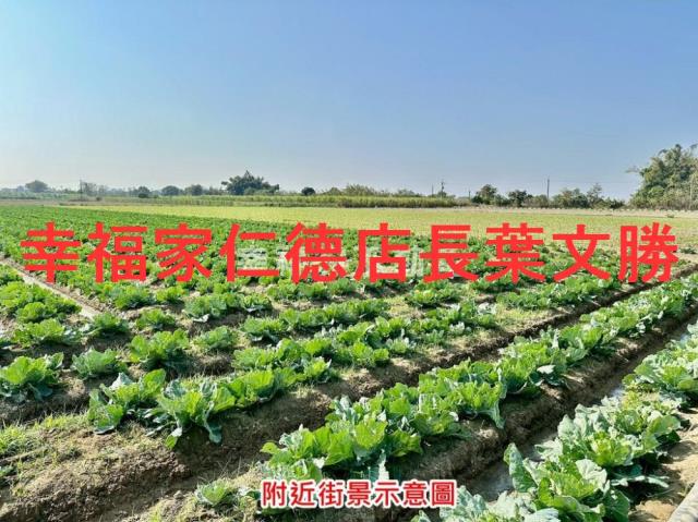 台南善化農地-3