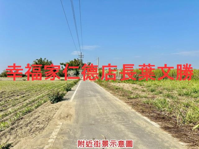 台南善化農地-9