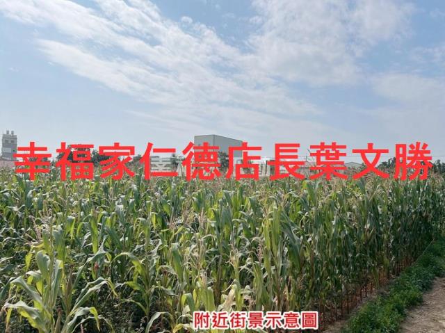 台南七股農地-3