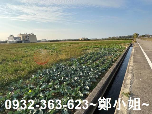 苑裡農地-10