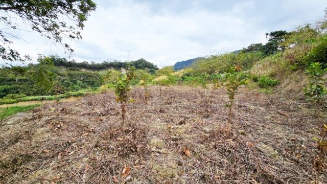 新竹北埔農地-13