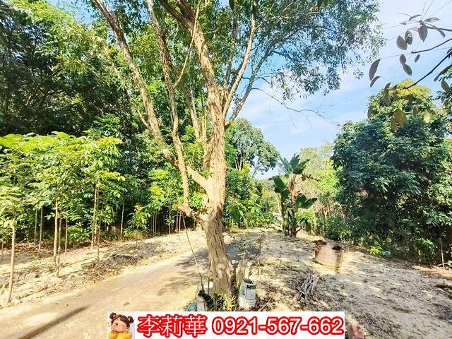 台南關廟農地-12