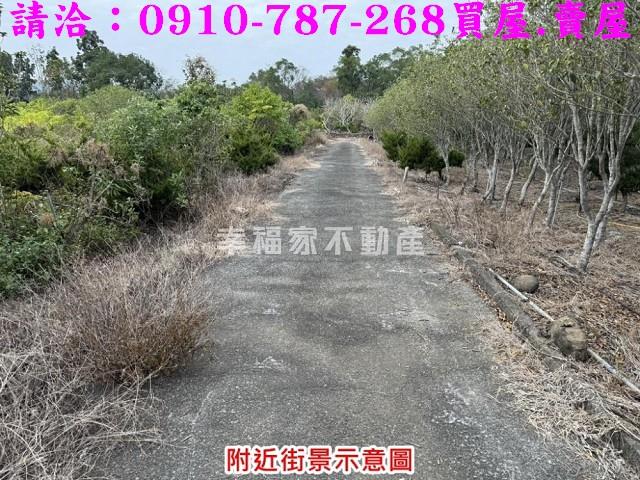 台南楠西農地-10