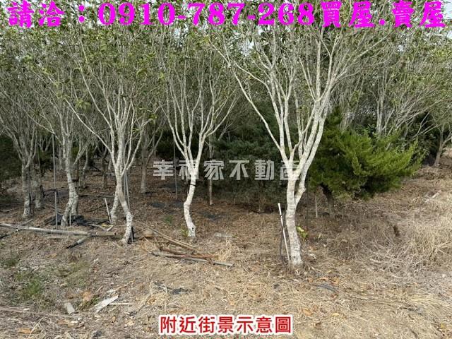 台南楠西農地-5