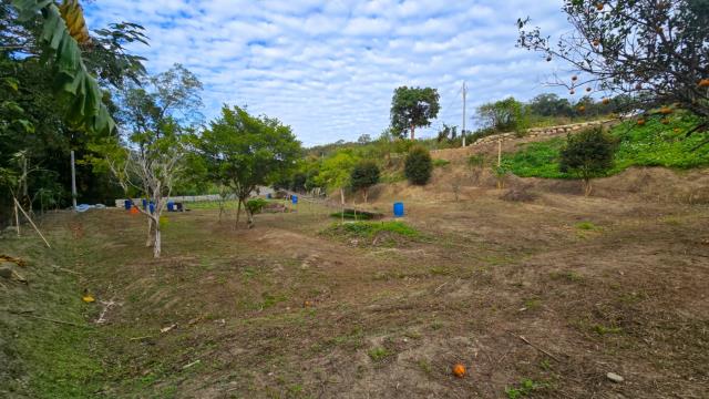 新竹北埔農地-1