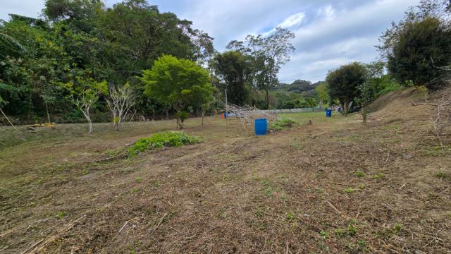 新竹北埔農地-2