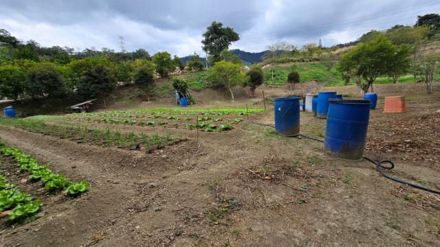 新竹北埔農地-6