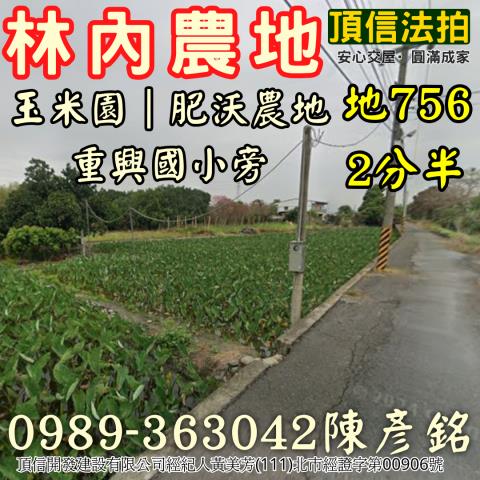 雲林林內法拍農地-2