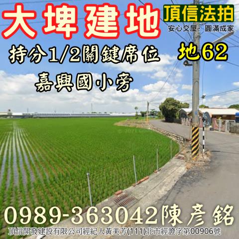 雲林大埤法拍建地-1